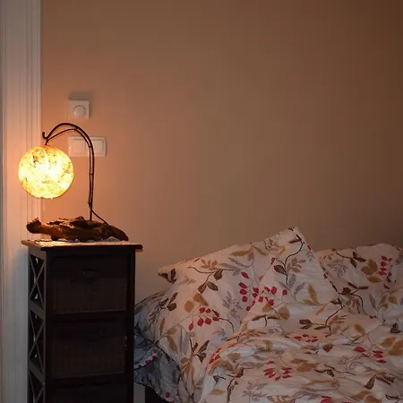 Orient Deluxe شقة